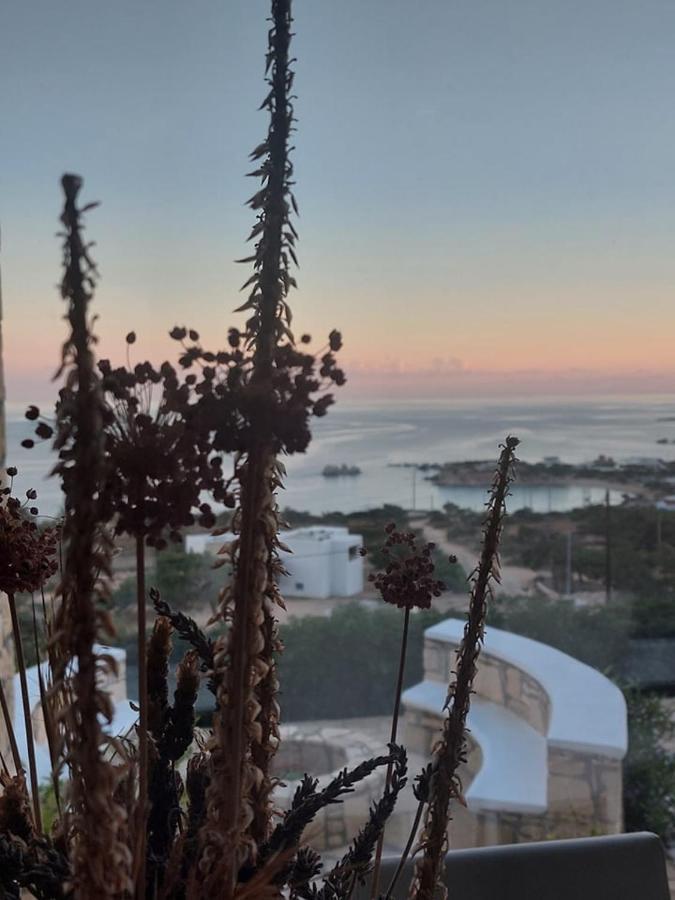 Evilia Luxury Villa Αμμοοπή Εξωτερικό φωτογραφία